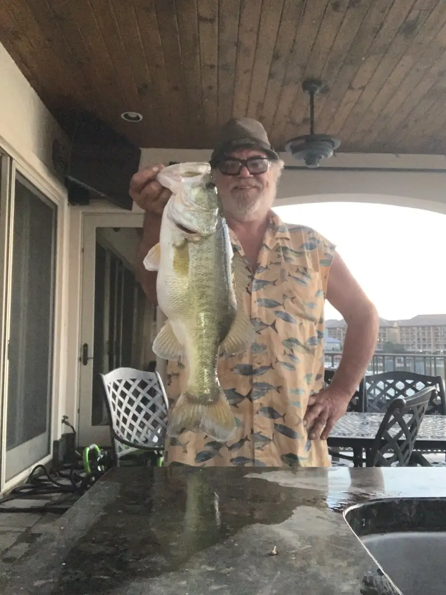 Bass