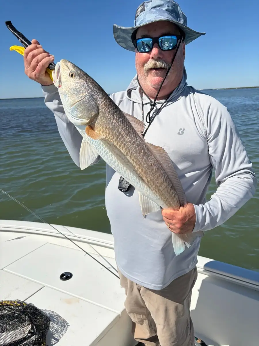 Redfish