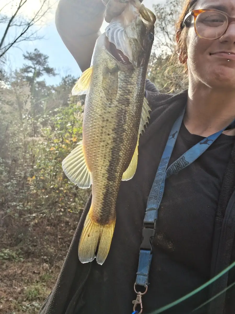 bass