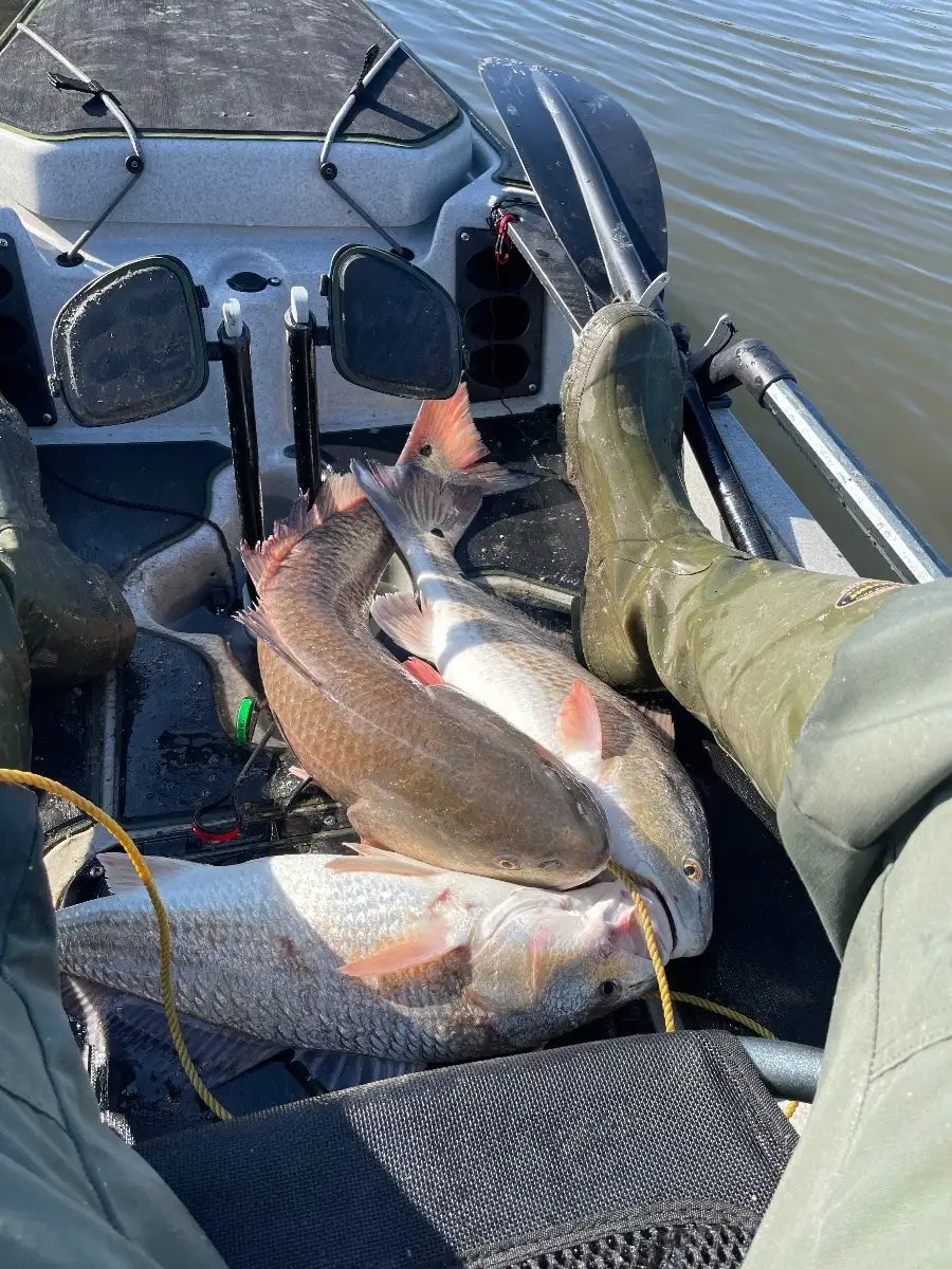 More Texas Reds