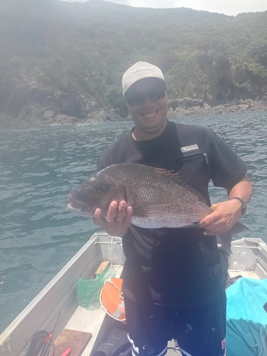 70cm snapper