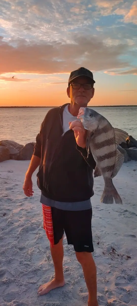 Black Drum