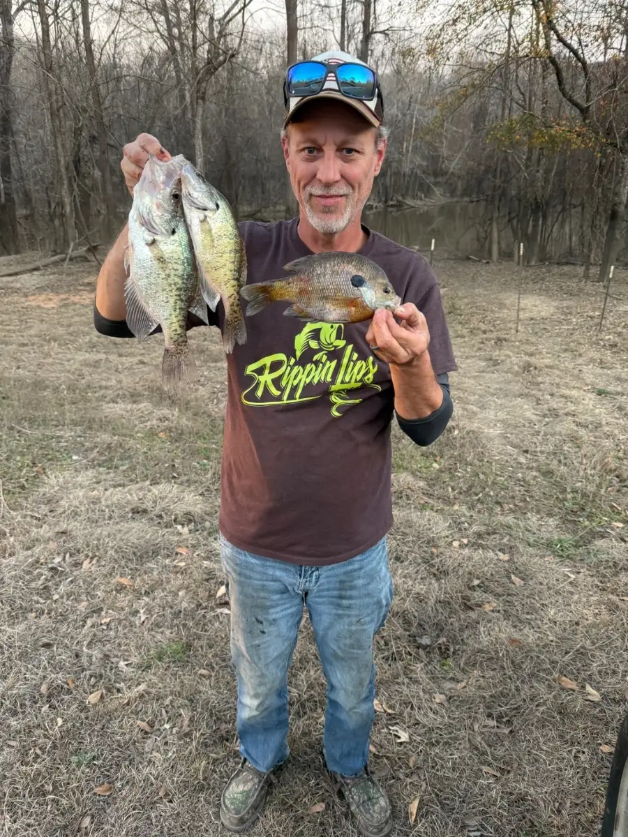 Crappie