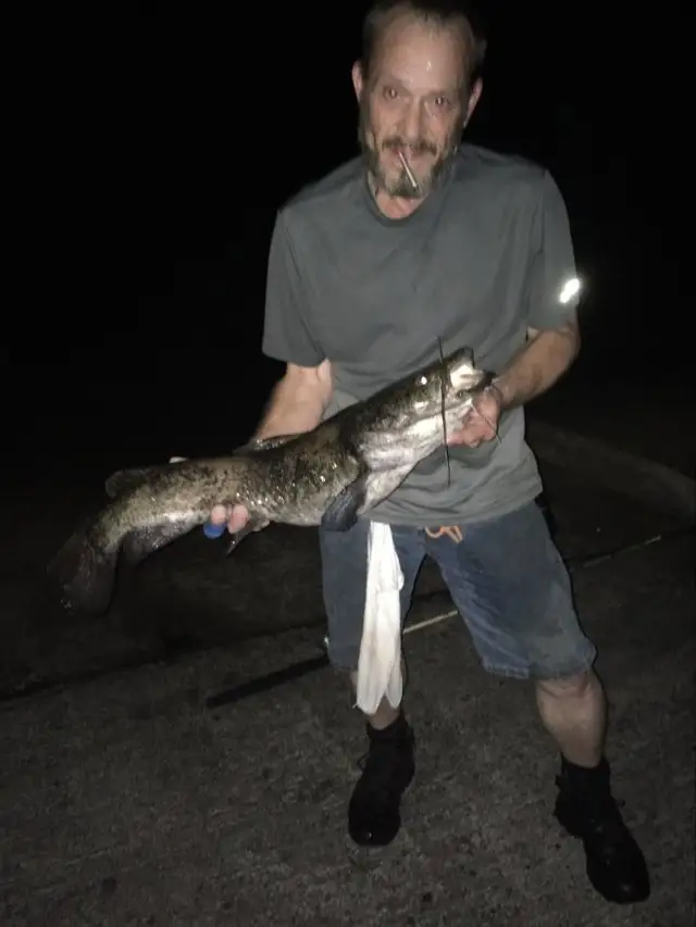 Flathead