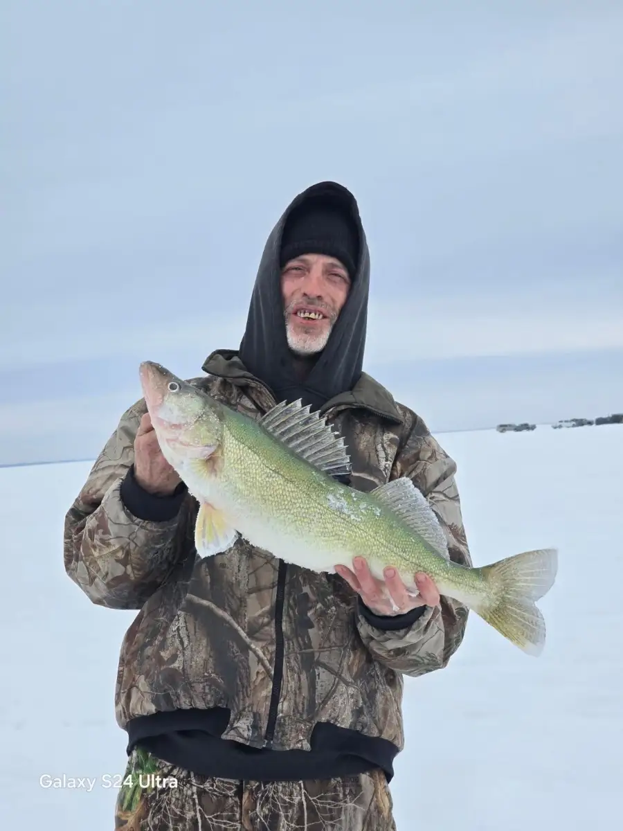 Lake winnipeg Green back.