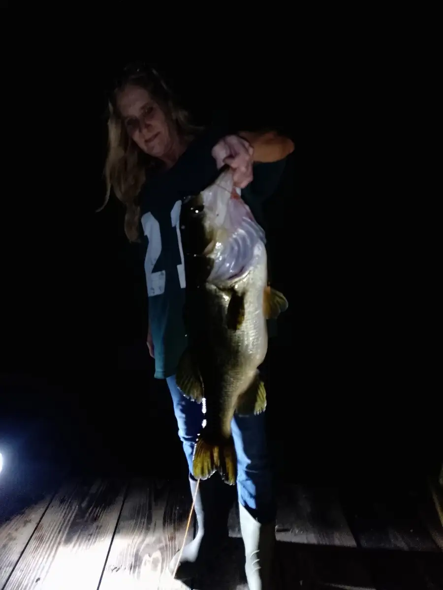 Large mouth bass.
