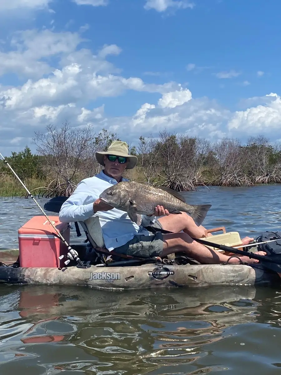 Black drum