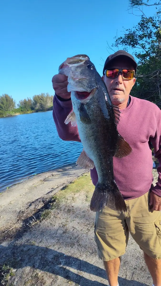 7lb. largemouth bass
