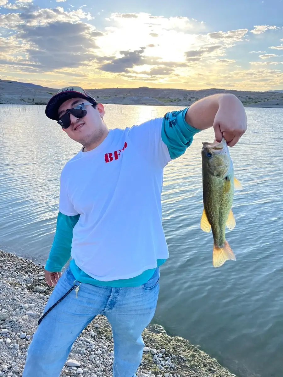 Large mouth bass