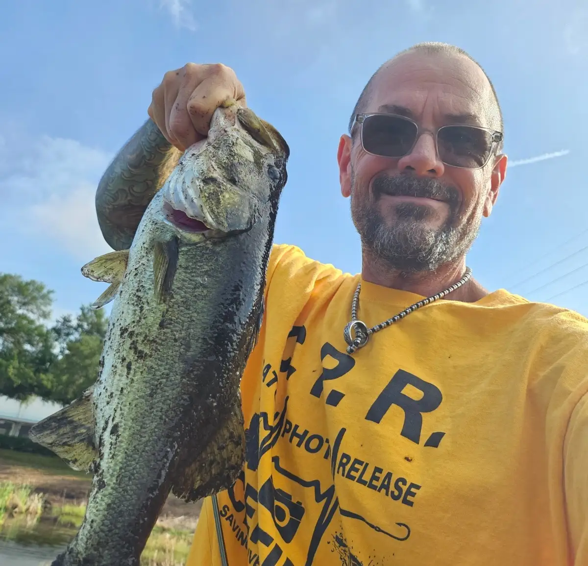 Largemouth Bass