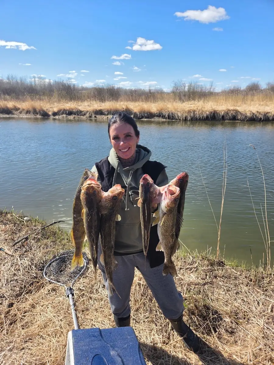 Walleye