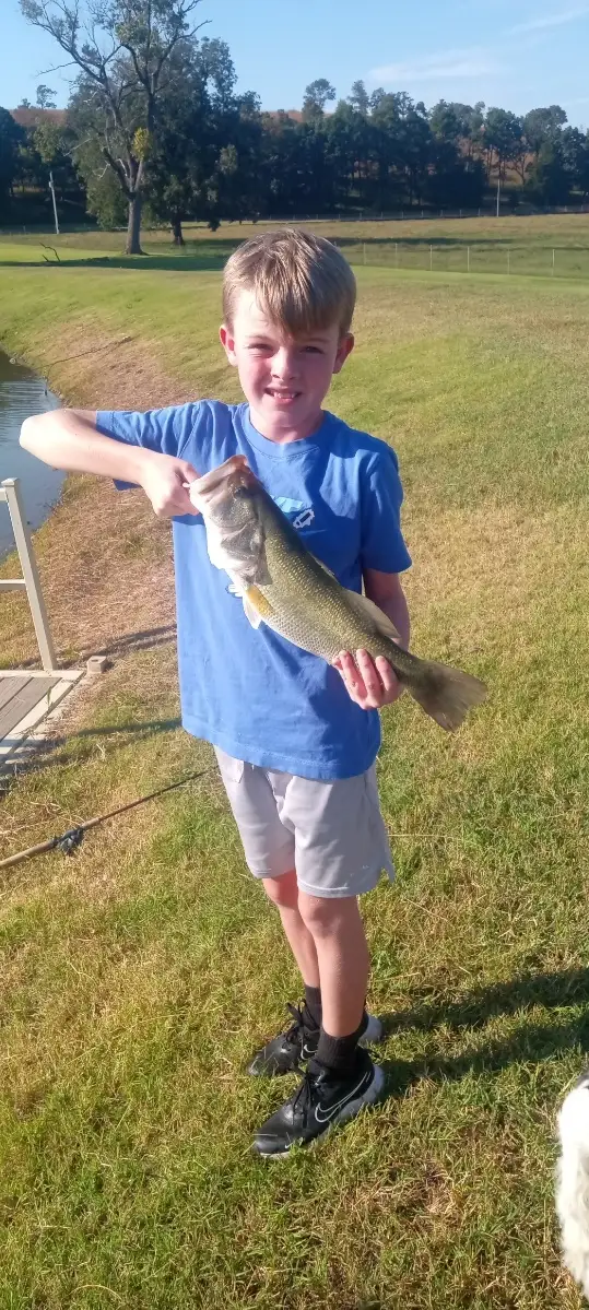 Bass