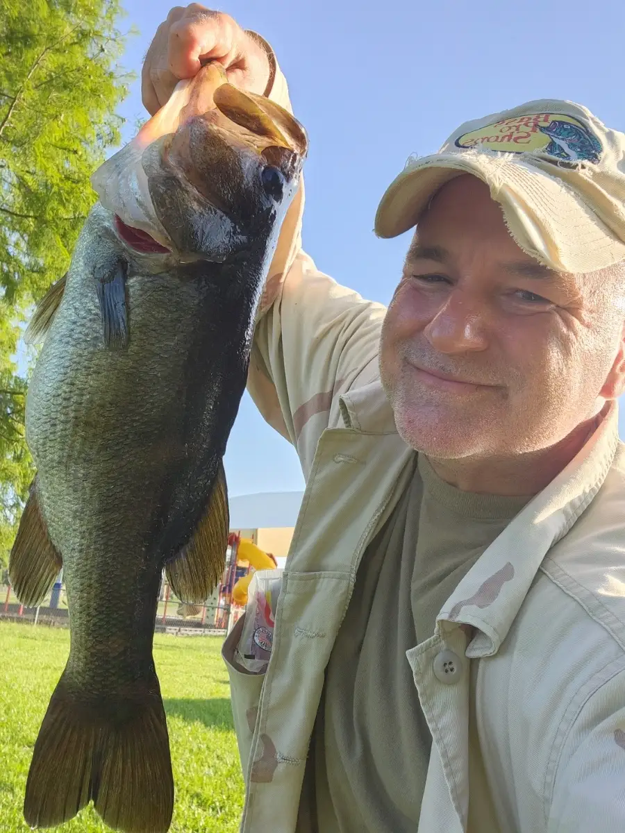lmb