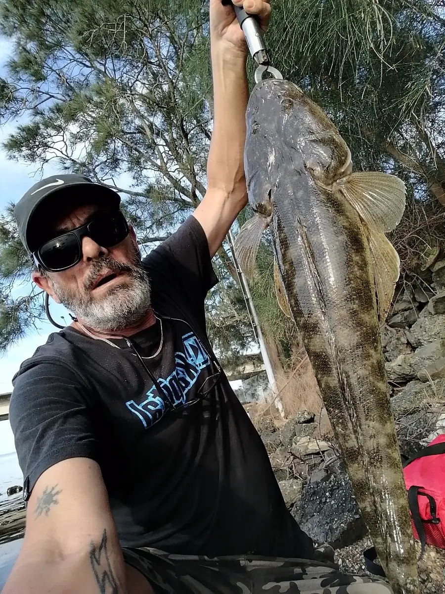 Flathead