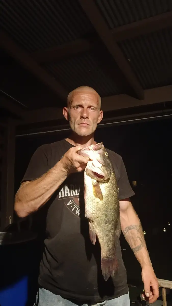 Lmb