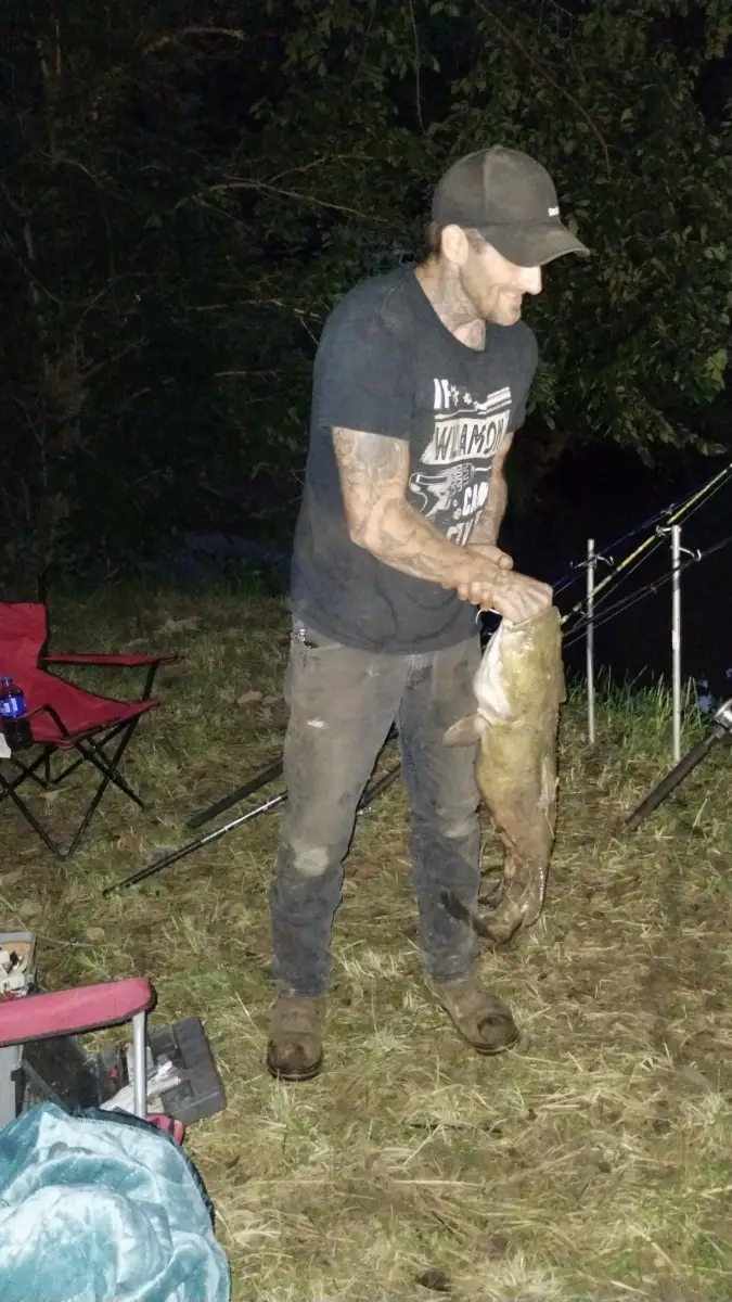 Catfish