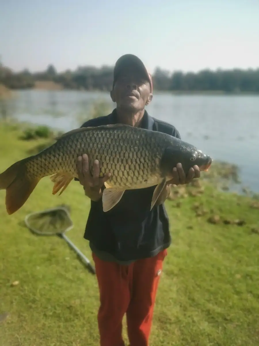 Carp 7.2 kg