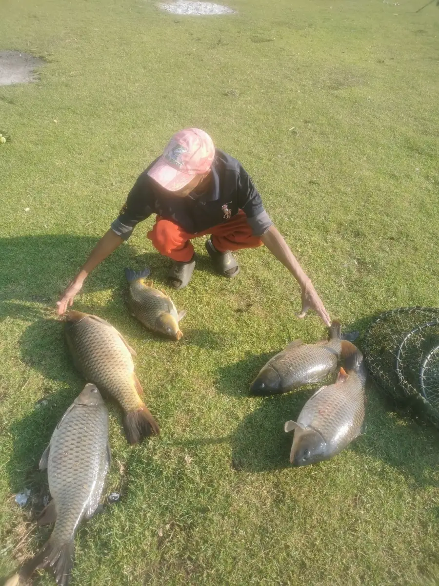 carp
