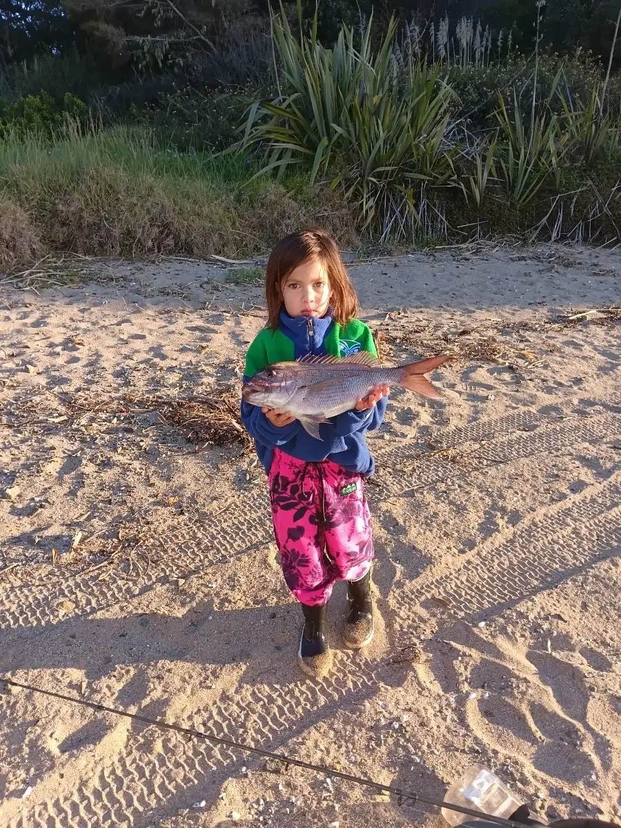 Snapper @ Chucks Cove