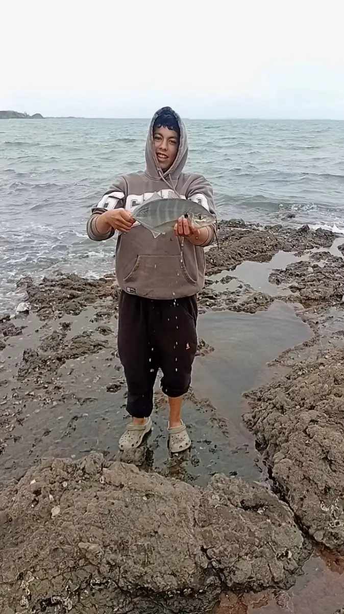 Trevally @ Taipa