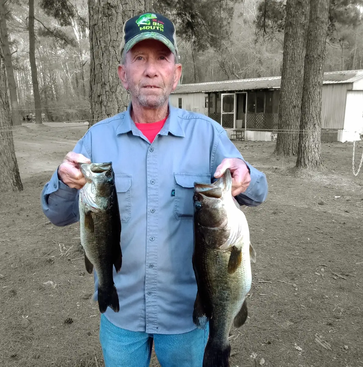 Largemouth Bass