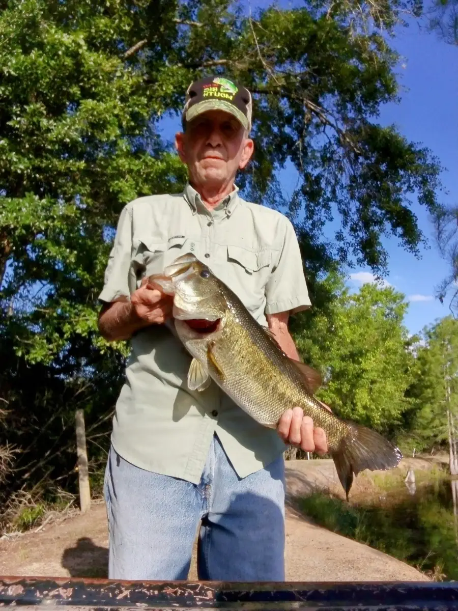 Largemouth Bass