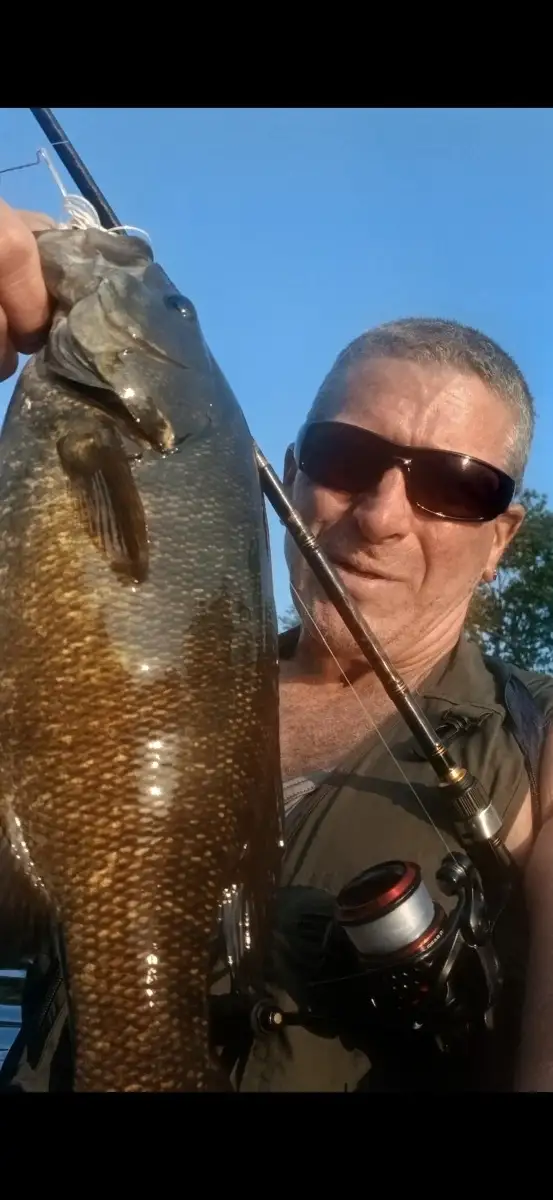 smallmouth bass
