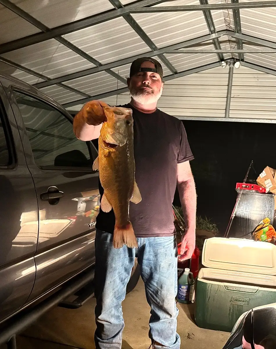 Largemouth bass