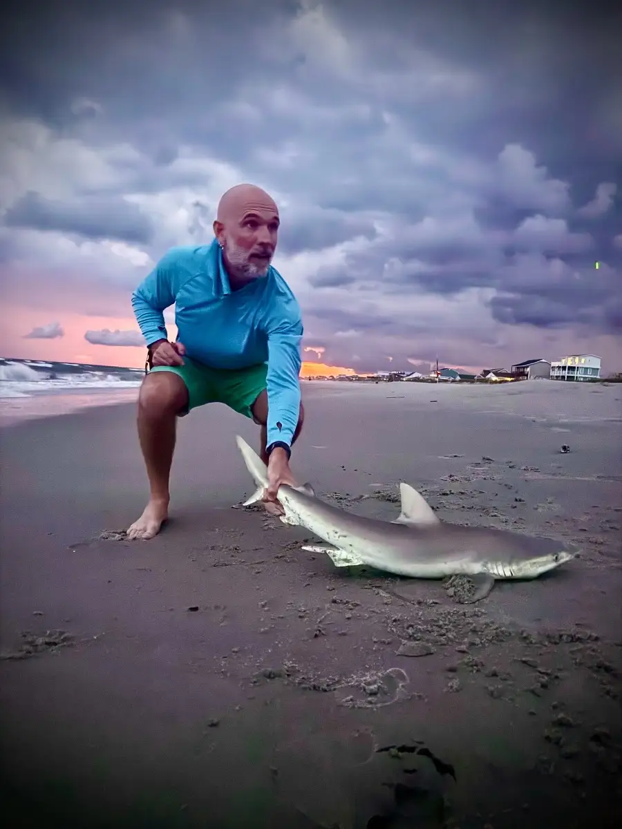 Sandbar shark 43inches