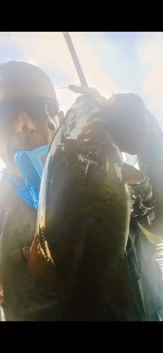 Smallmouth in skook