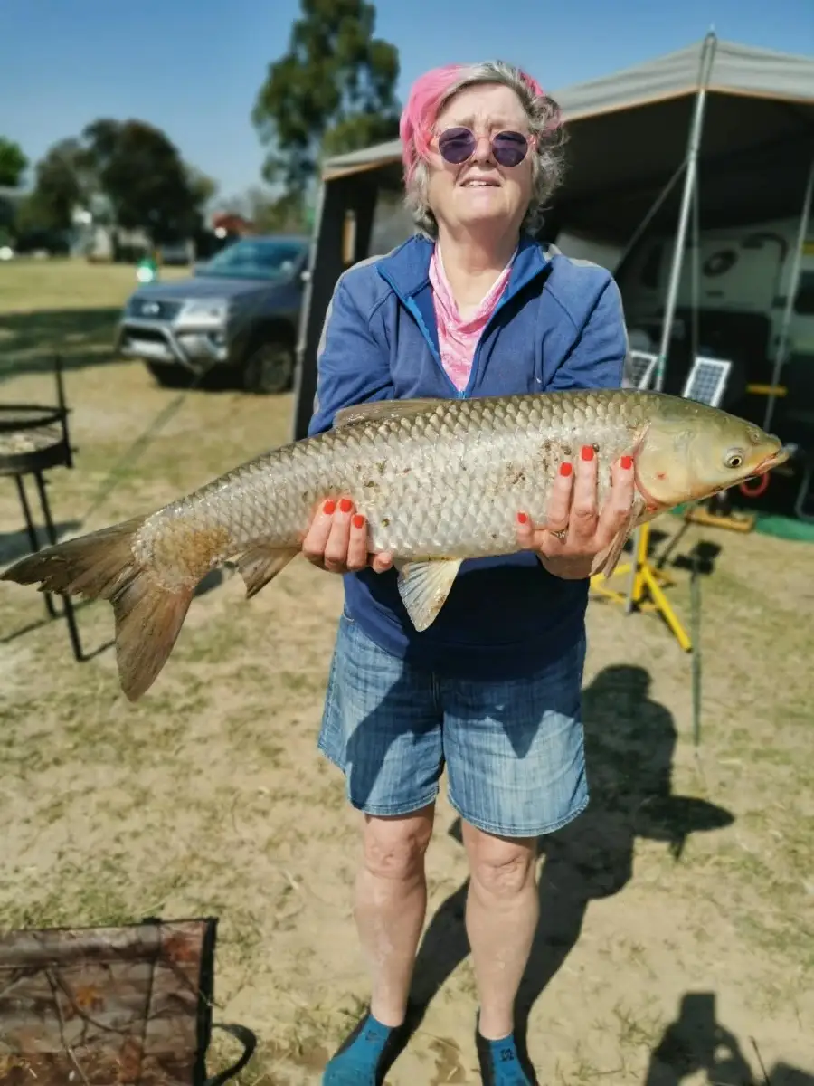 Grass Carp just over 5kg