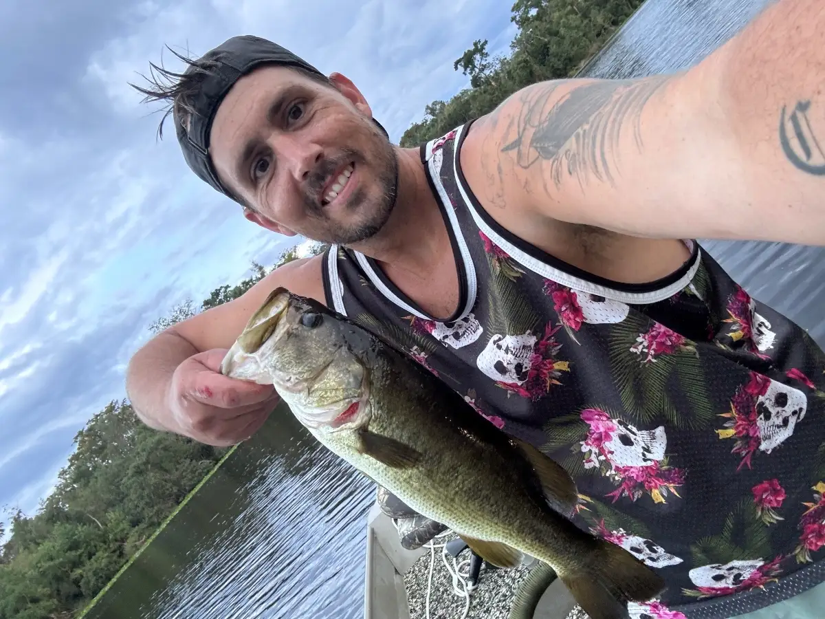 Large Mouth Bass