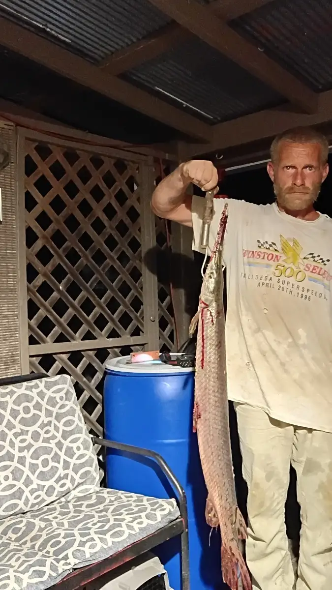 Gar