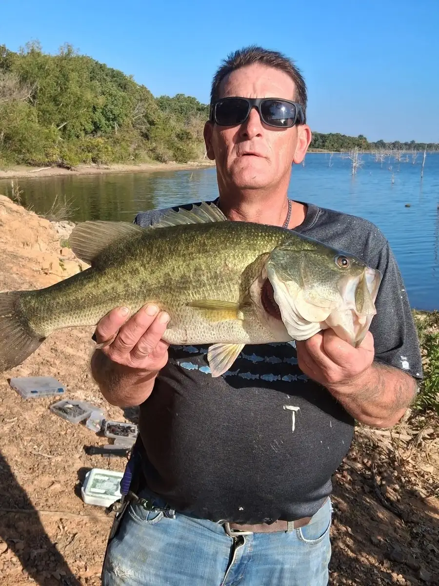 Micropterus salmoides (black bass)