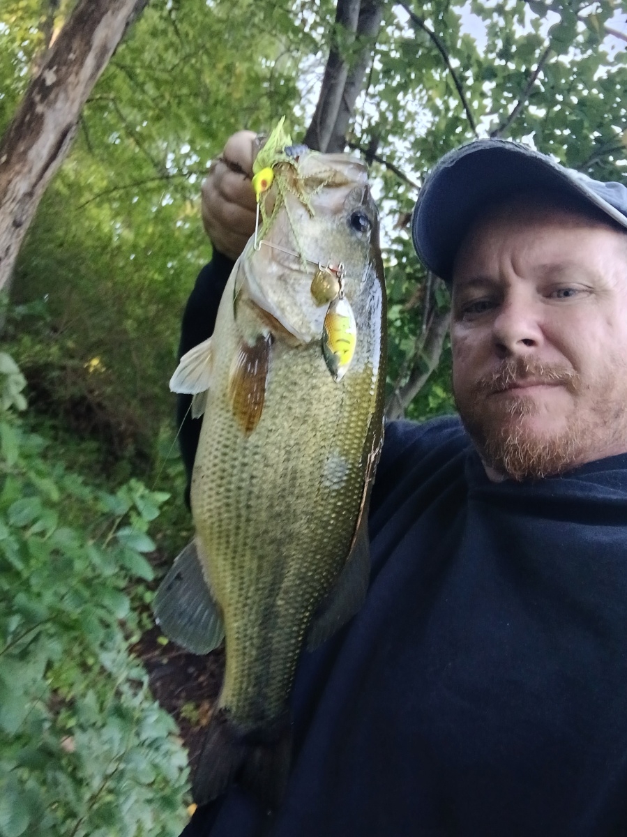 Large mouth bass
