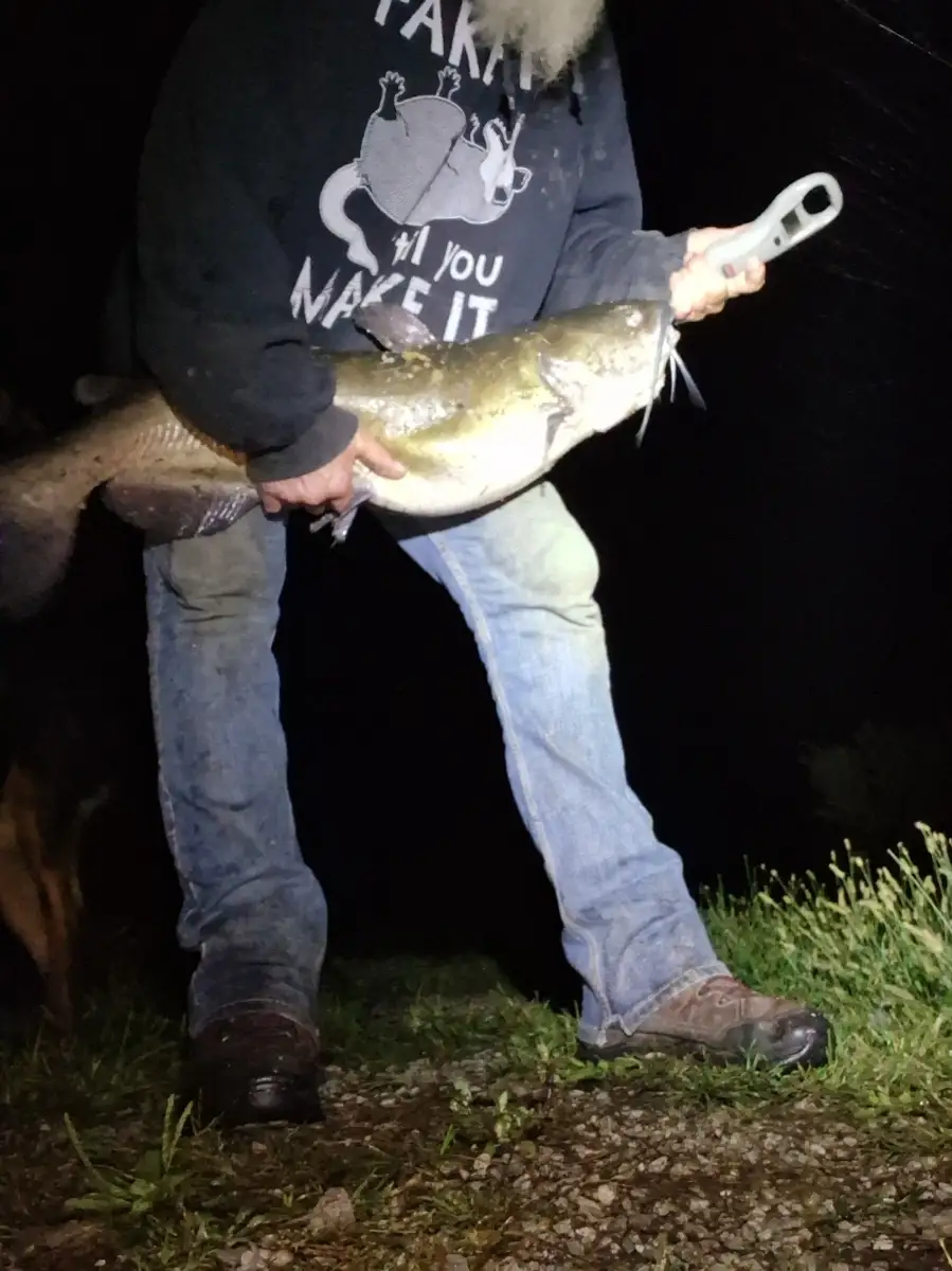 18lb. Channel cat