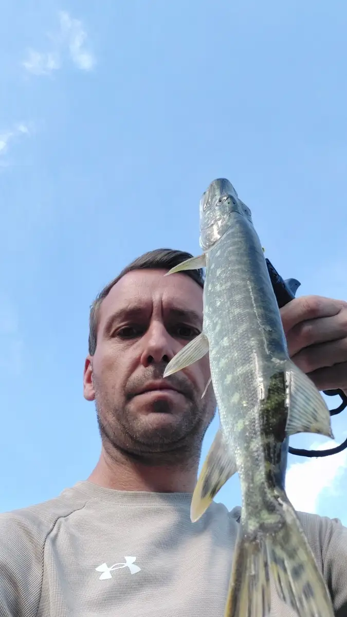 Pike @ river indre  Chateauroux, France