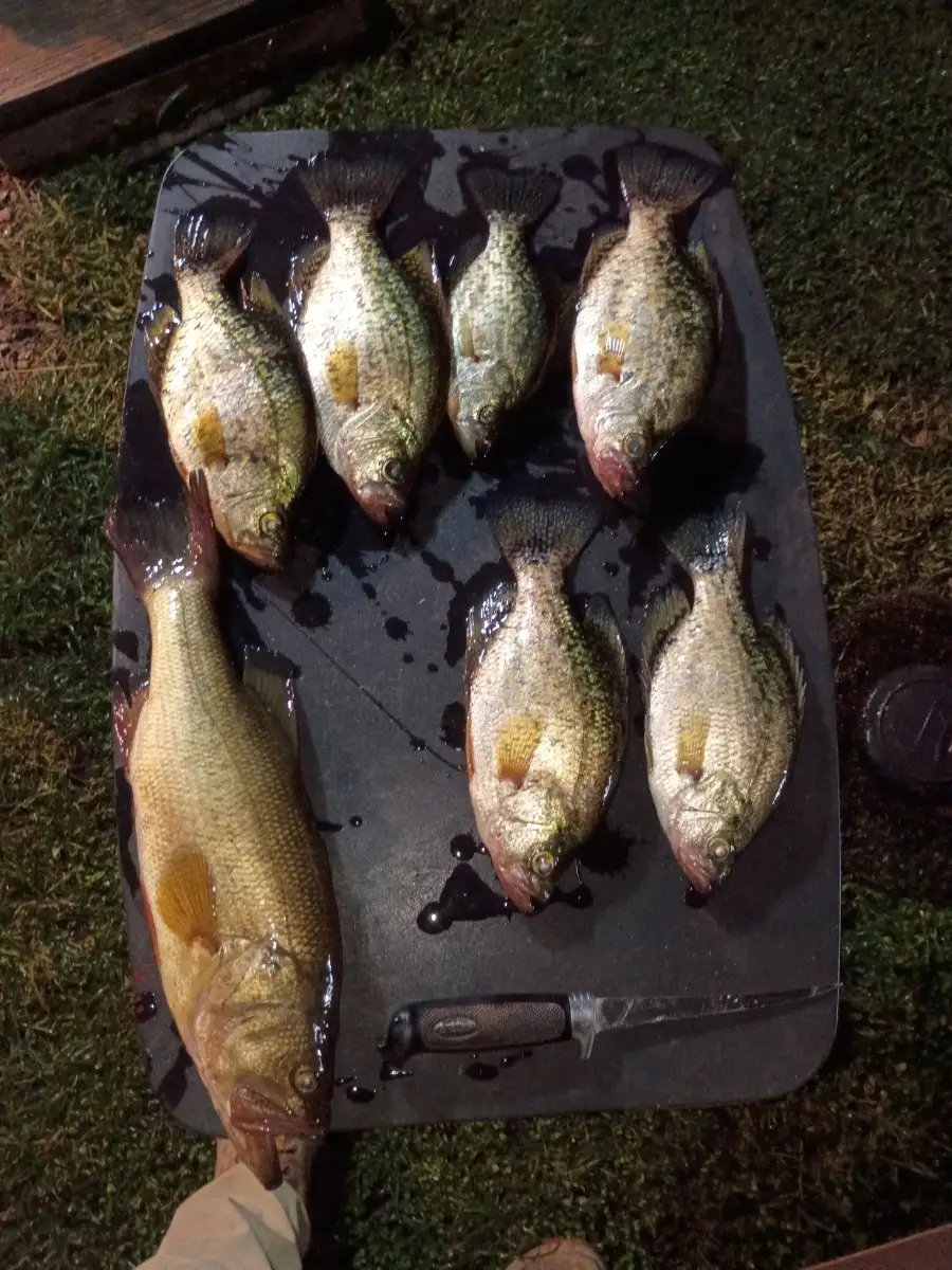 Crappie and lmb