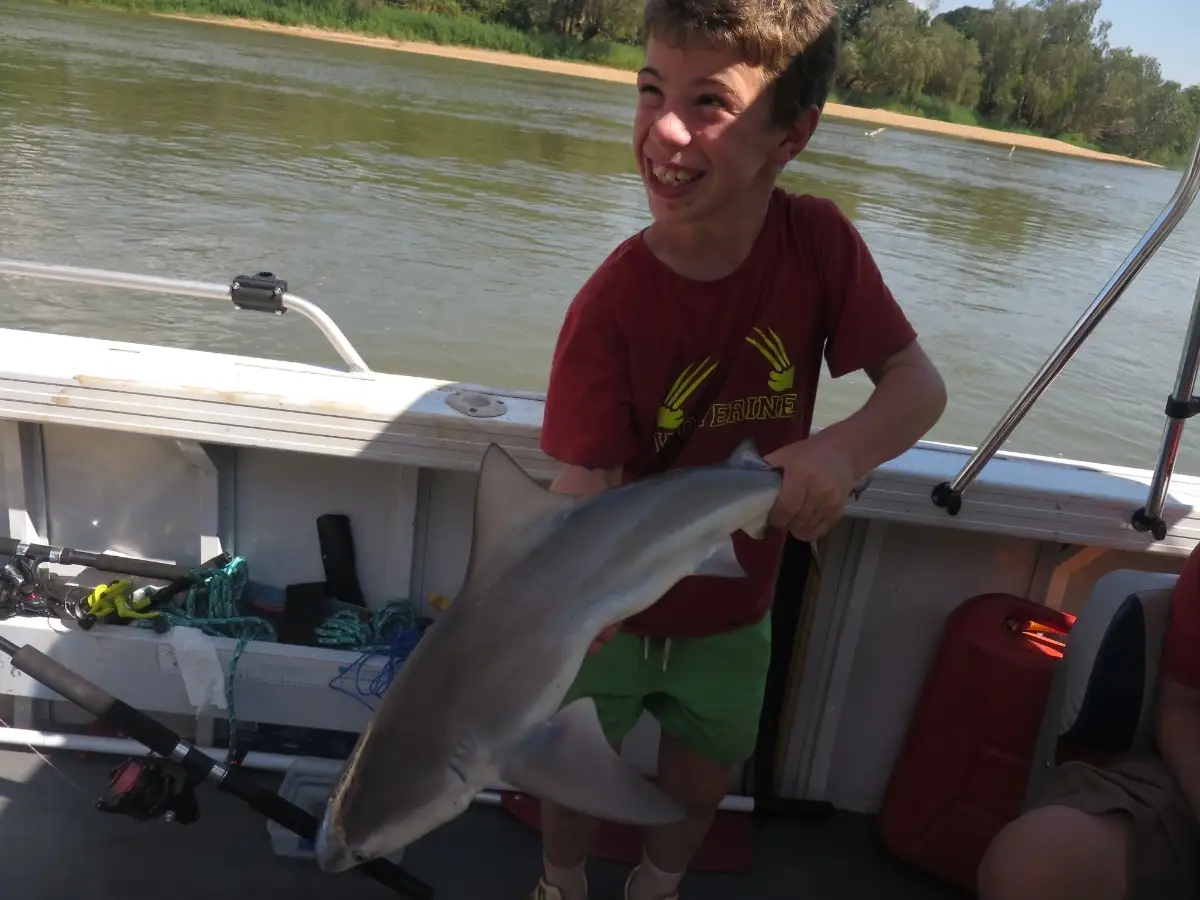 River Waler / Bullshark