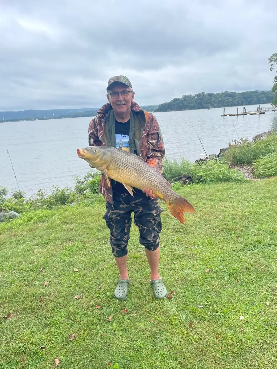 Carp