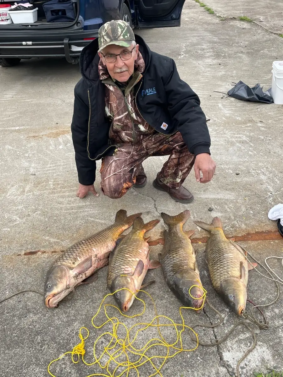 Carps ,Hudson river