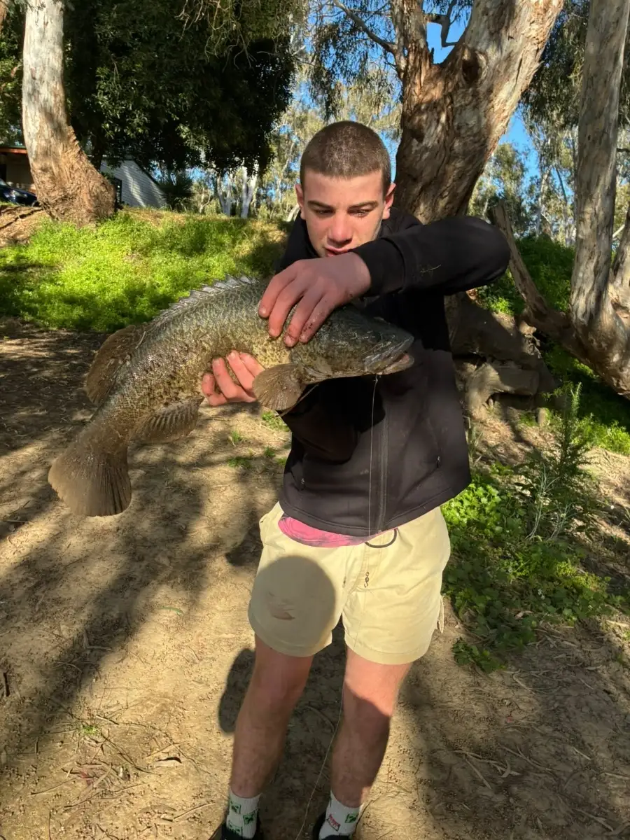 My boy and a Murray Cod