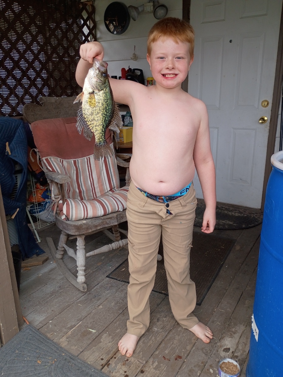 Crappie