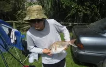 Small Pannie Snapper