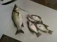 night fishing for 2 hour during a full moon