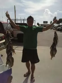 Caught 20 mile's offshore Clearwater FL