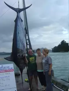 Blue Marlin 234.5kg