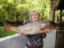 Sherie's big red