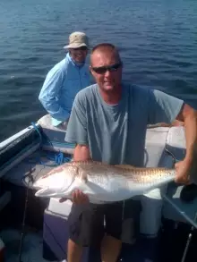 Red Drum