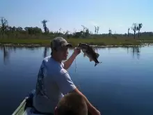 Grasshopper lake